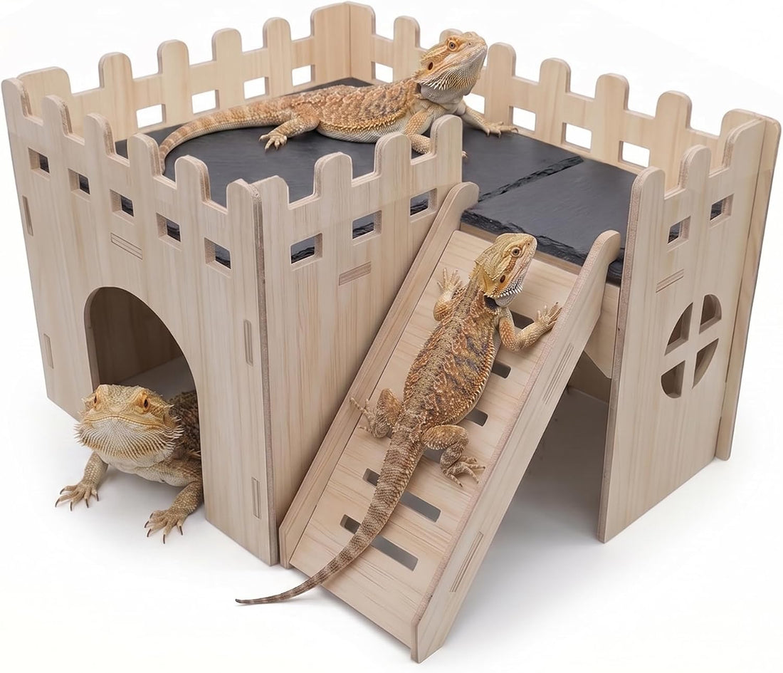 Bearded Dragon Hide Cave Basking Platform