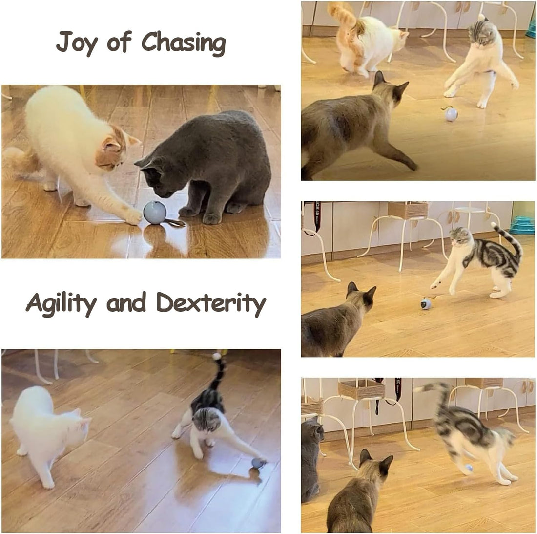 Migipaws Interactive Cat Ball Toy Set, Fun Tracker