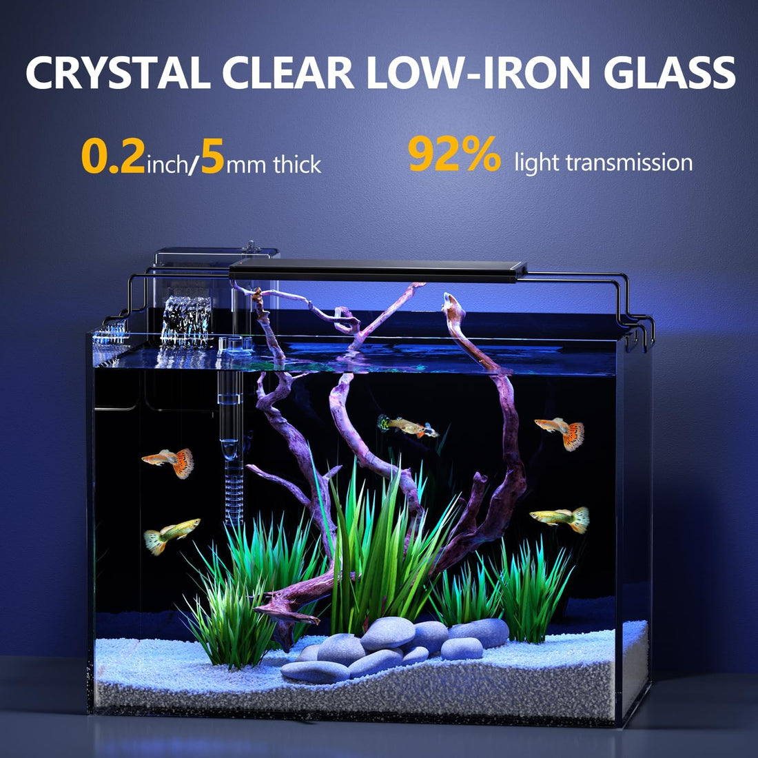 5 Gallon Fish Tank Kit with Filter Light with Timer, Lid Rimless Glass