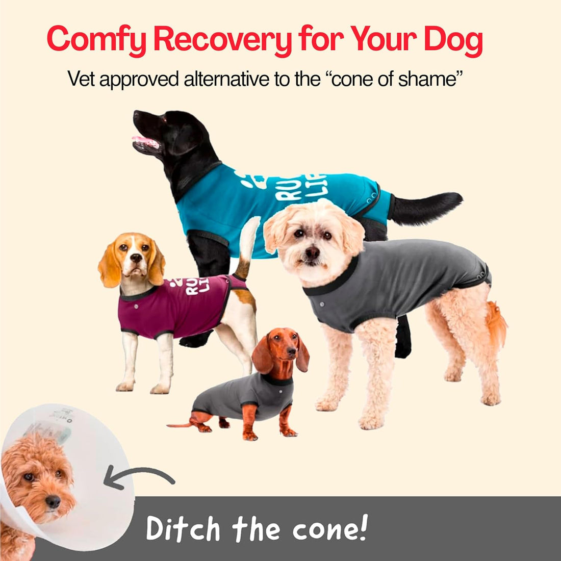 BellyGuard Dog Surgery Recovery Suit, Dog Onesie for Post-Op Care