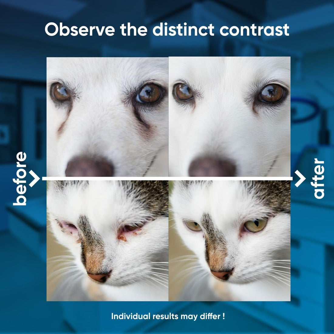 Dog Eye Drops and cat Eye Drops