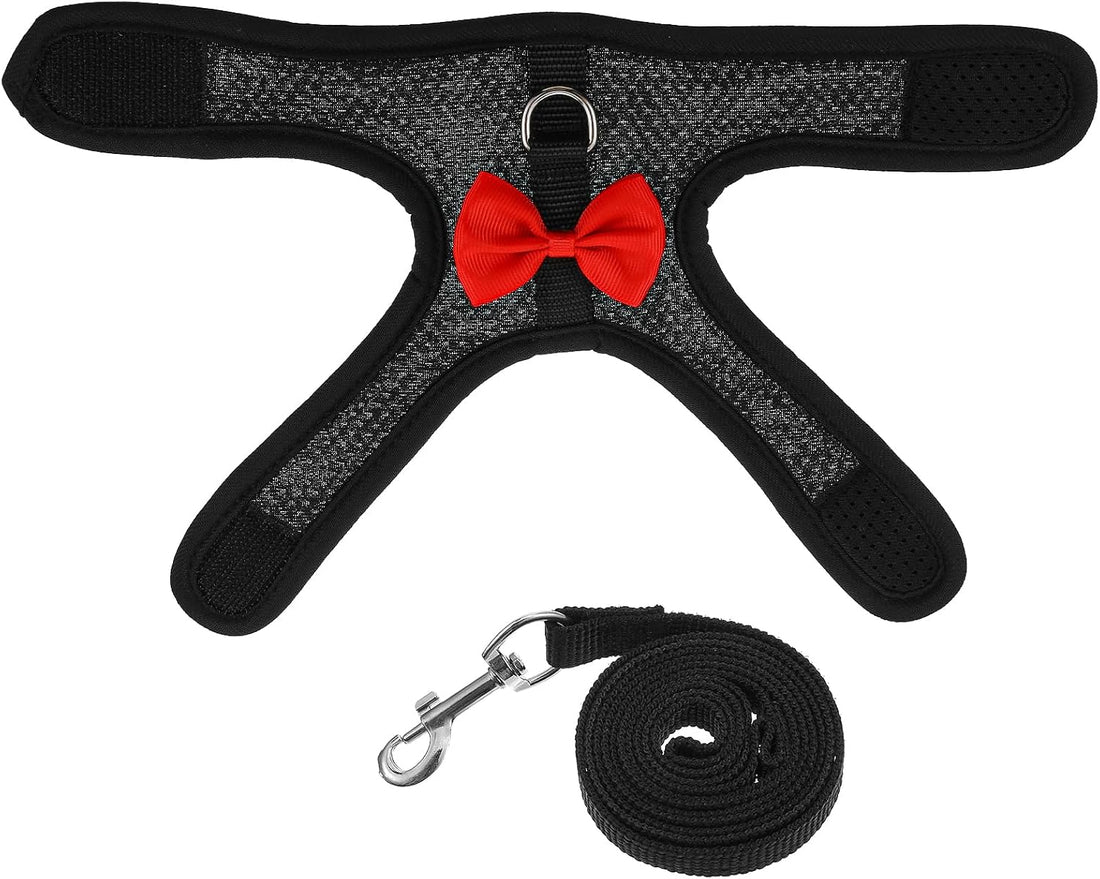Black Rabbit Harness and Leash Set with Cute Bow for Small Pets