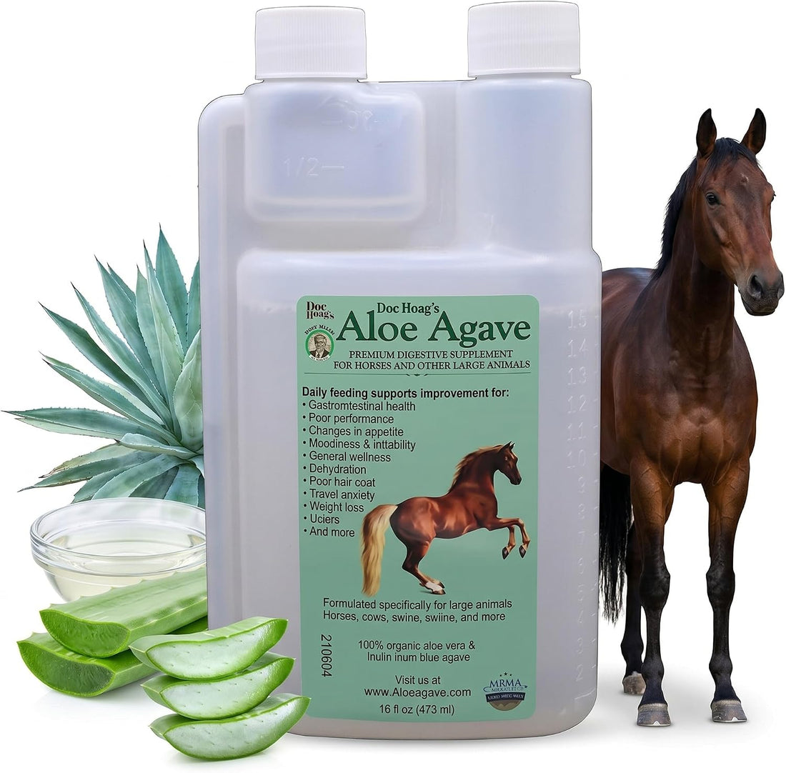 Doc Hoag's Aloe Vera Horse Supplement, Gastric & Ulcer Support