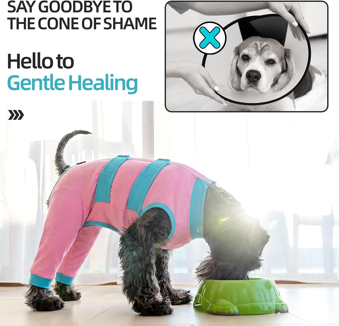 Lelepet Dog Surgery Recovery Suit for Rear Legs