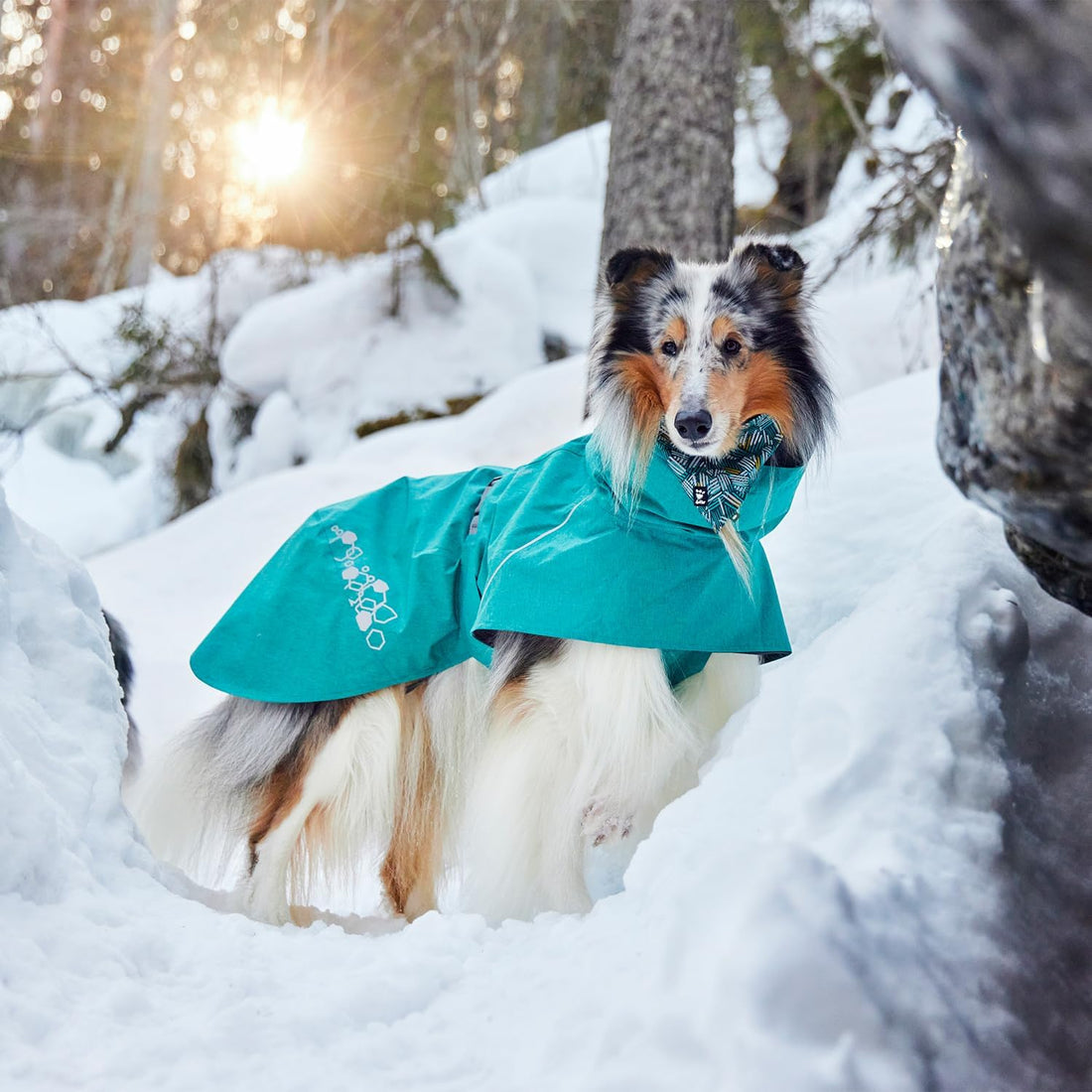 Hurtta Monsoon Coat II ECO, Wet Weather Dog Raincoat Coat