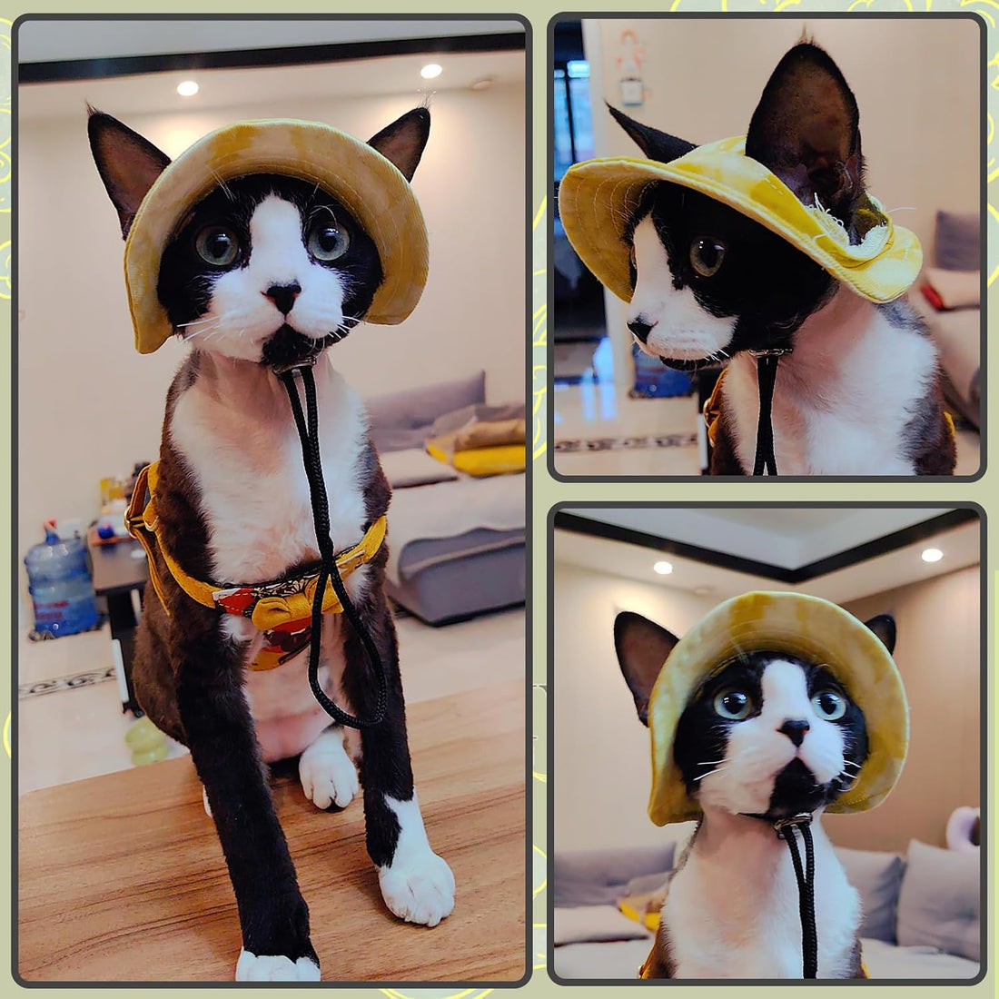 DENTRUN Cat Hats for Cats Only