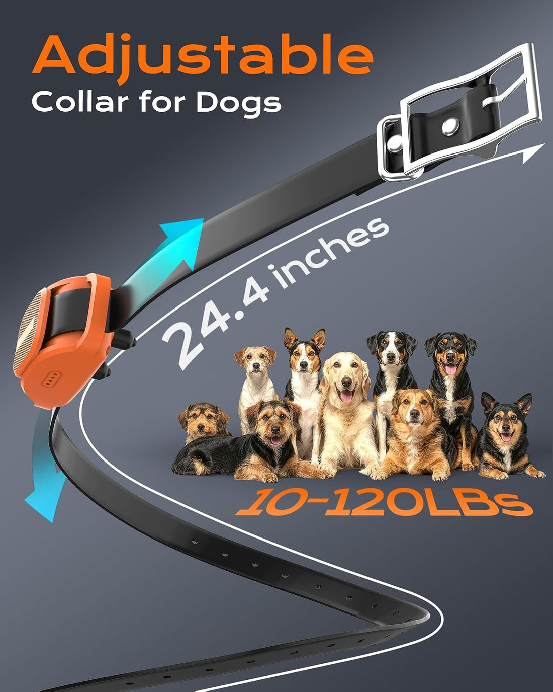 Shock Collar for Dogs- 4200FT LED Light Dog Training Collar