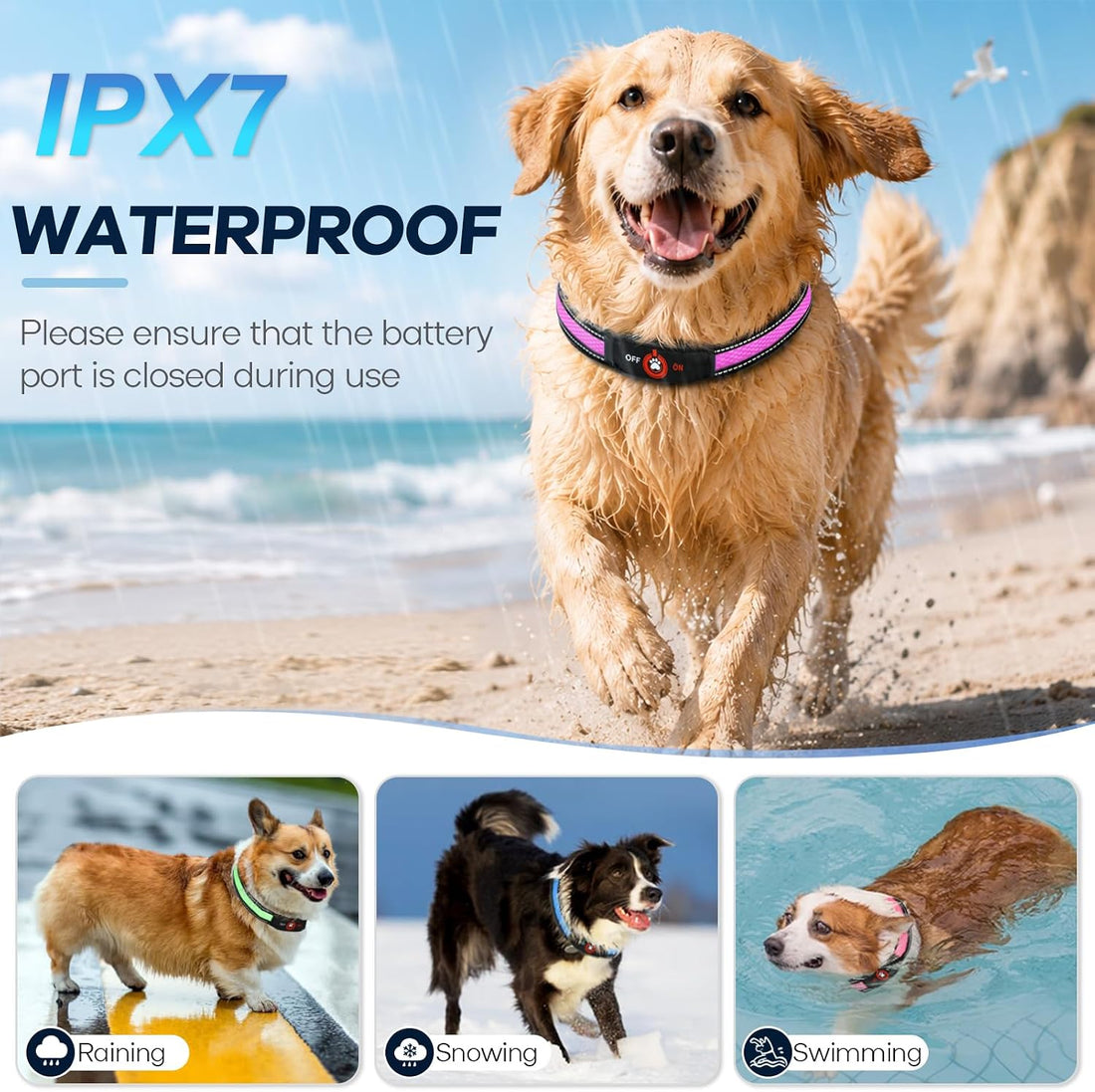 Light Up Dog Collar for Large Dogs, Super Bright Glow Collar