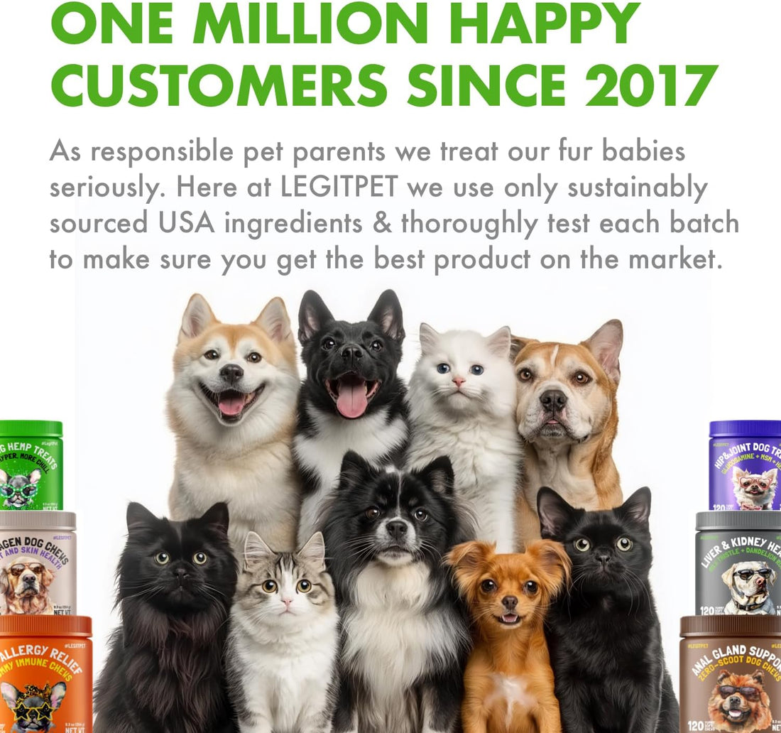 Liver & Kidney Support for Dogs Detox Natural Supplement with Milk