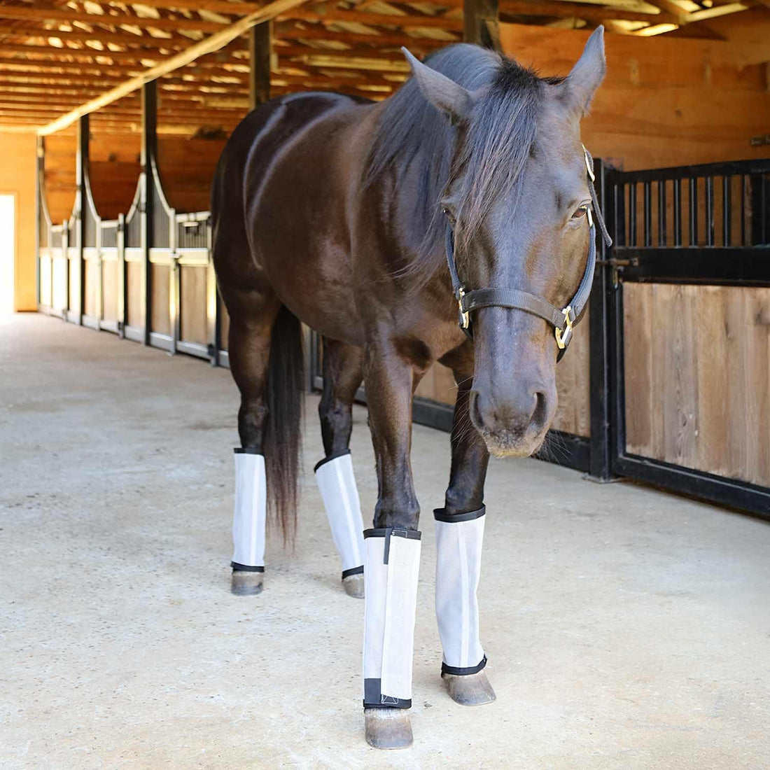 Jeffers Romper Stomper Fly Boots for Horses - Grey, Large