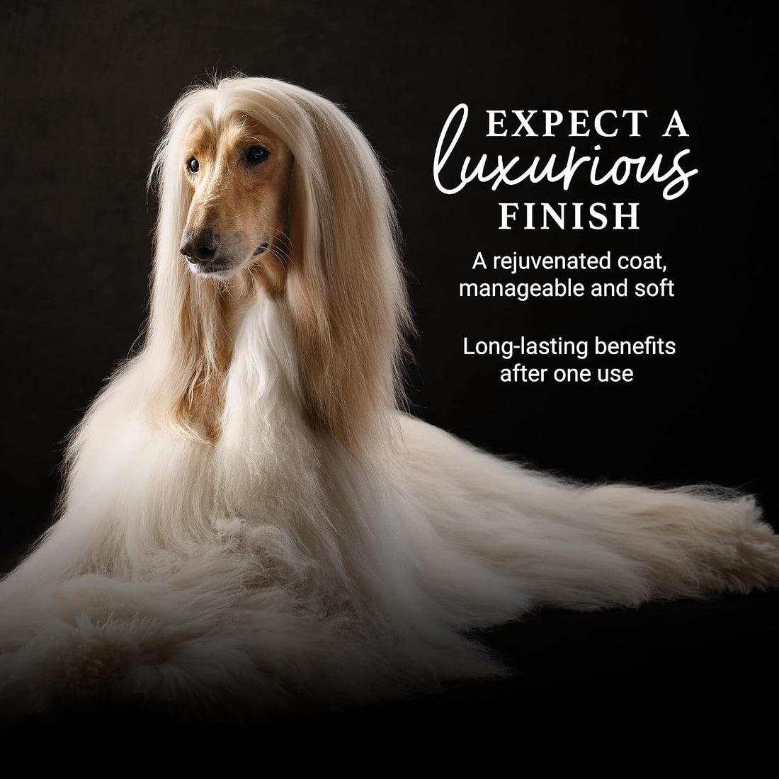 iGroom Deshedding & Detangling Dog Conditioner, Luxury Pet Beauty Care