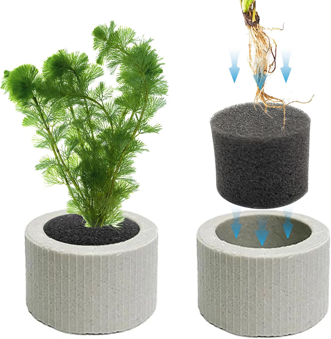 12 PCS Aquarium Plant Weight Ceramic Ring with Black Sponge