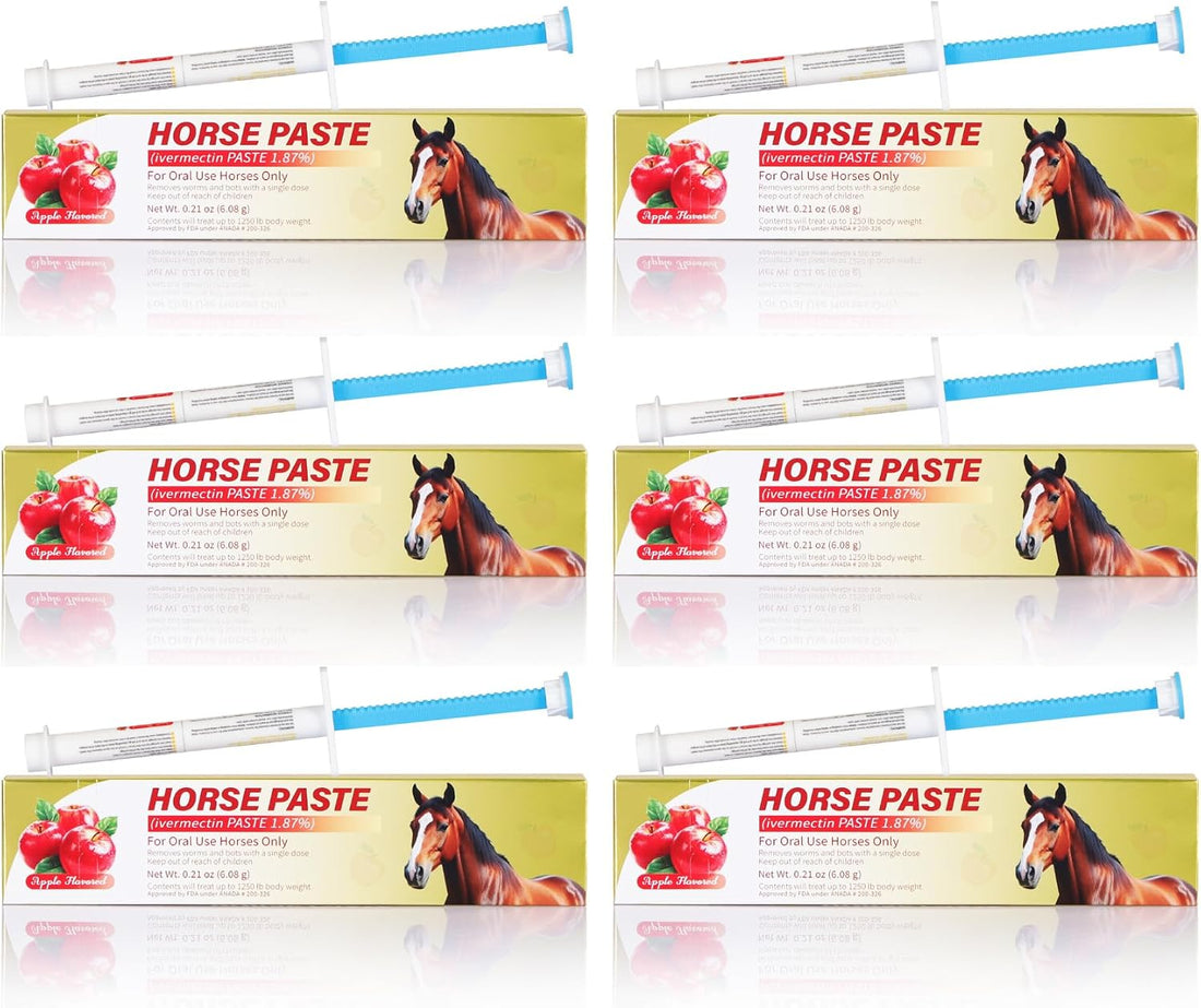 Equine Paste 1.87% | Apple Flavored – 6.08g Tube for Horses, 1-Pack