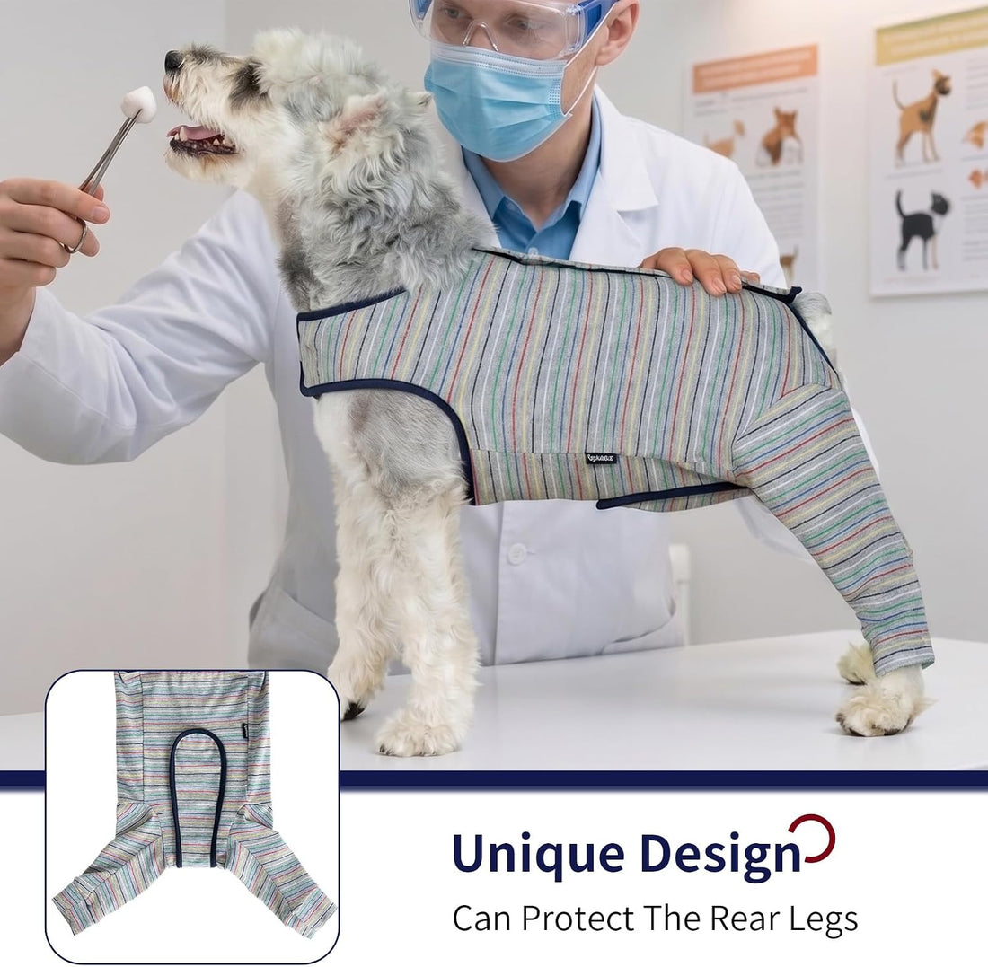 Dog Surgery Recovery Suit Female Spay Male Neuter,Lick Sleeve