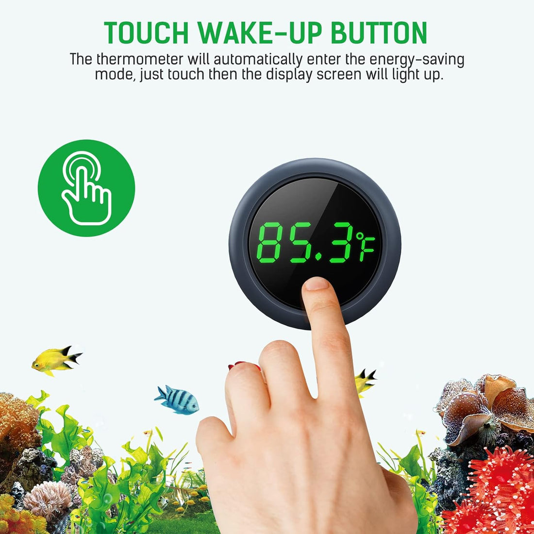 PAIZOO Aquarium Thermometer Digital
