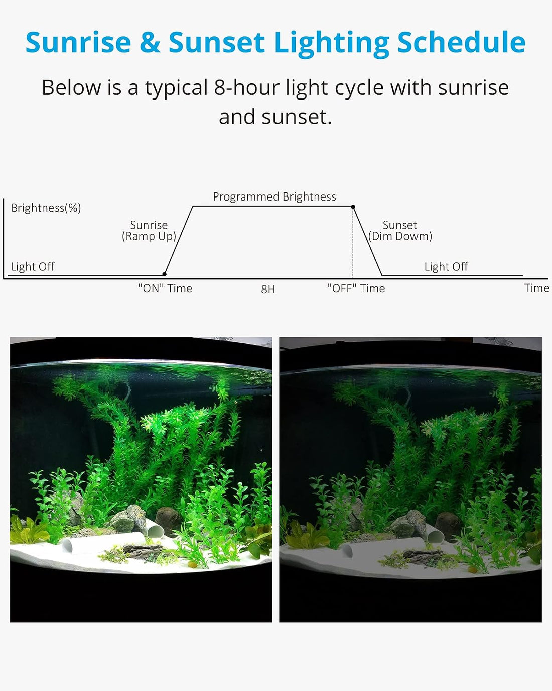 NICREW Aquarium Light Timer & Dimmer, Fish Tank Light Controller