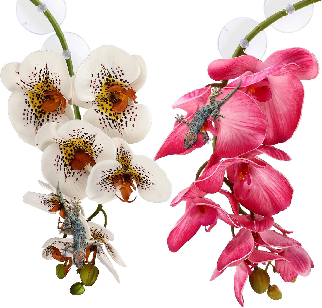 Chuangdi 2 Pcs Artificial Phalaenopsis