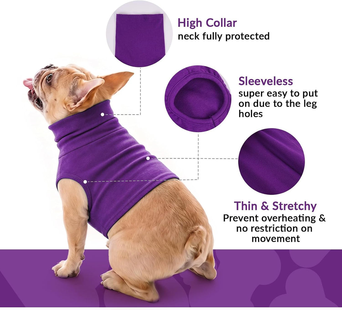 ROZKITCH Cat Neck Protector Wound Cover, Dog Surgery Recovery Suit