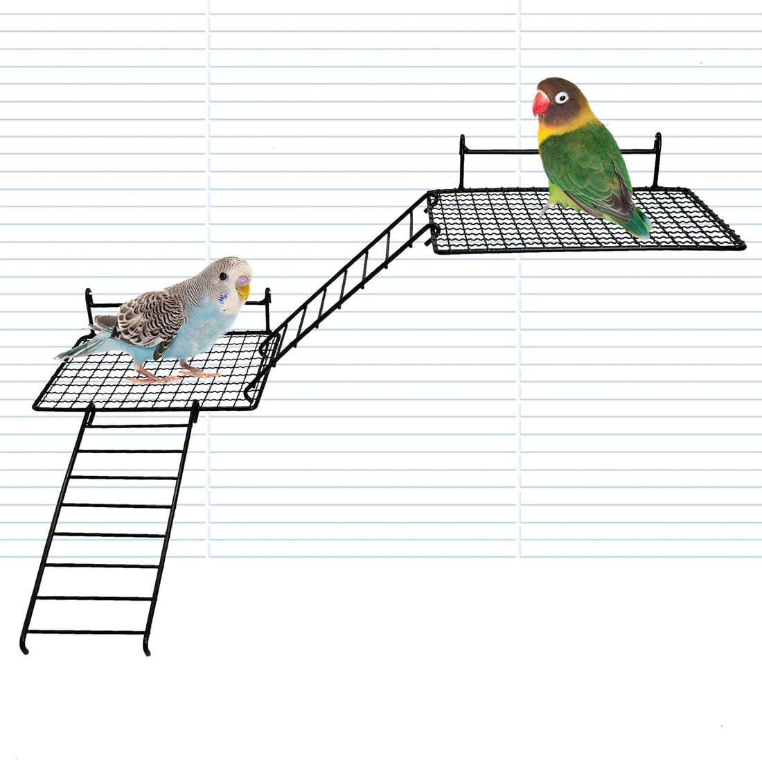 BNOSDM Stainless Steel Bird Cage Platform Climbing Ladder Parrot