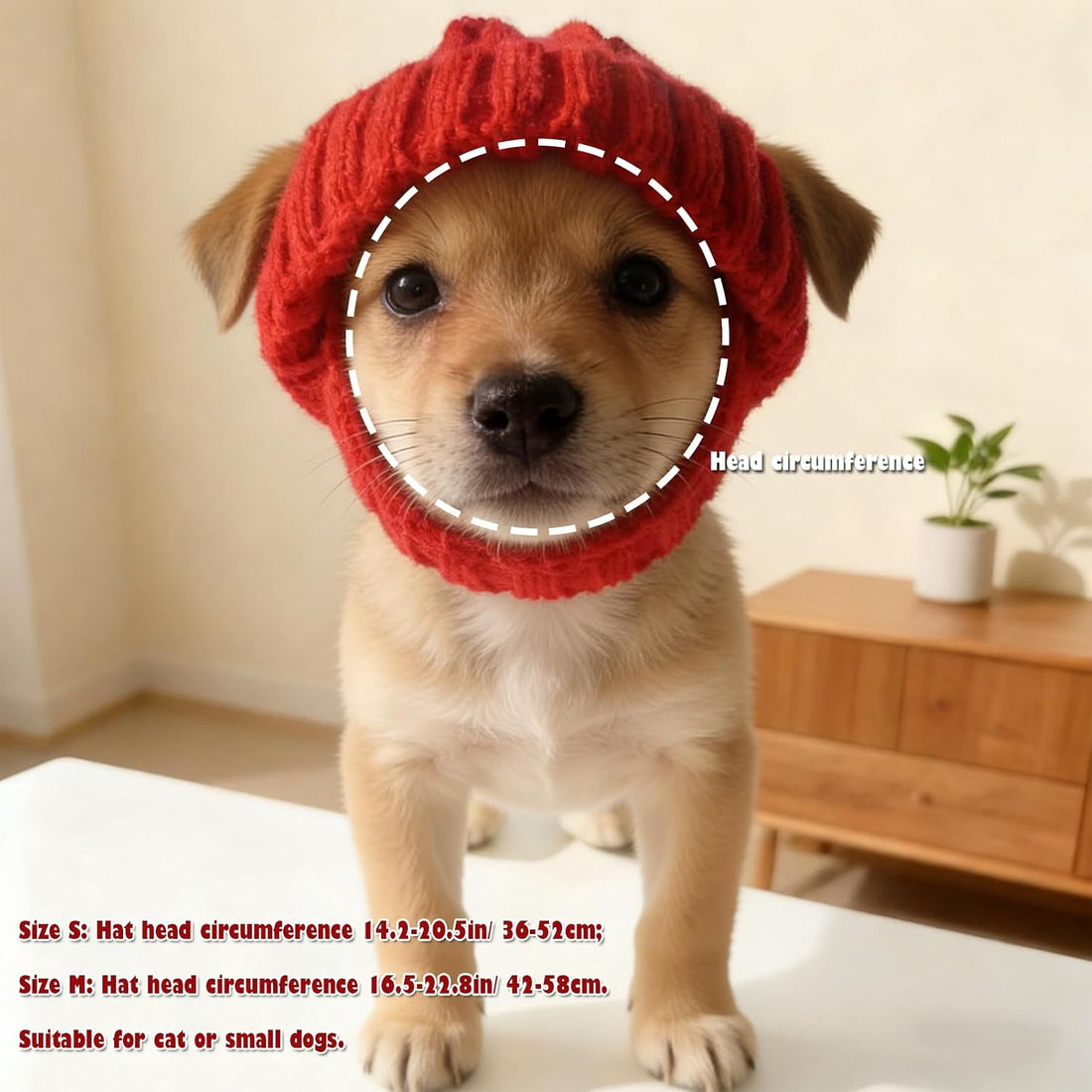 Warm Dog Knitted Hat with Ear Hole, Winter Pet Cap