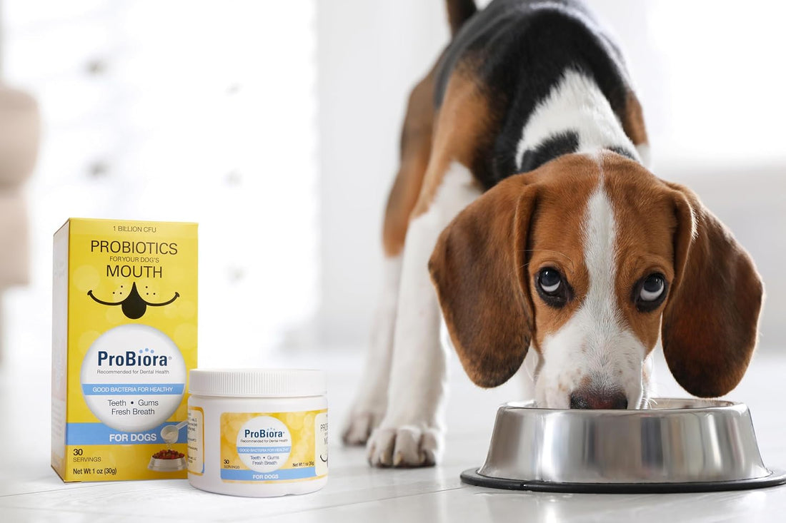 Probiora for Dogs | Dog Probiotic Supplement for Oral Care