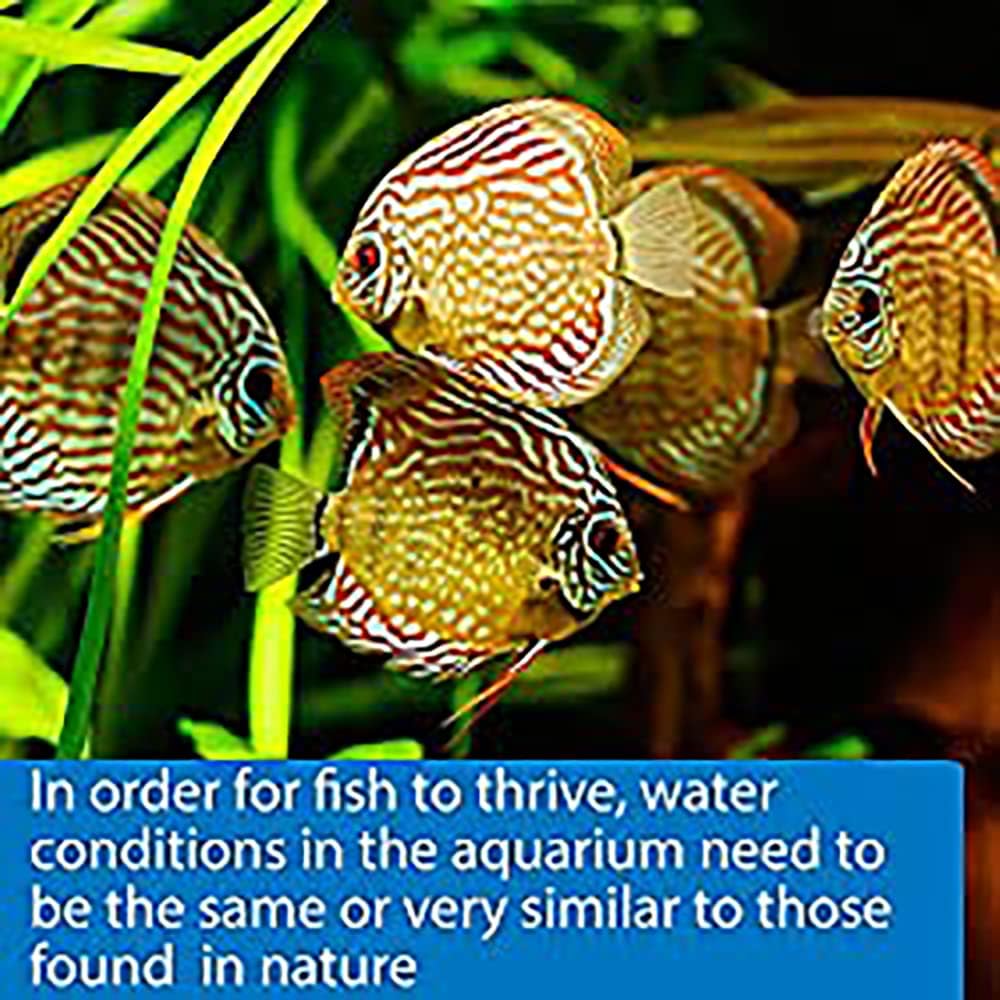 API AMMONIA TEST STRIPS Freshwater and Saltwater Aquarium Water Test