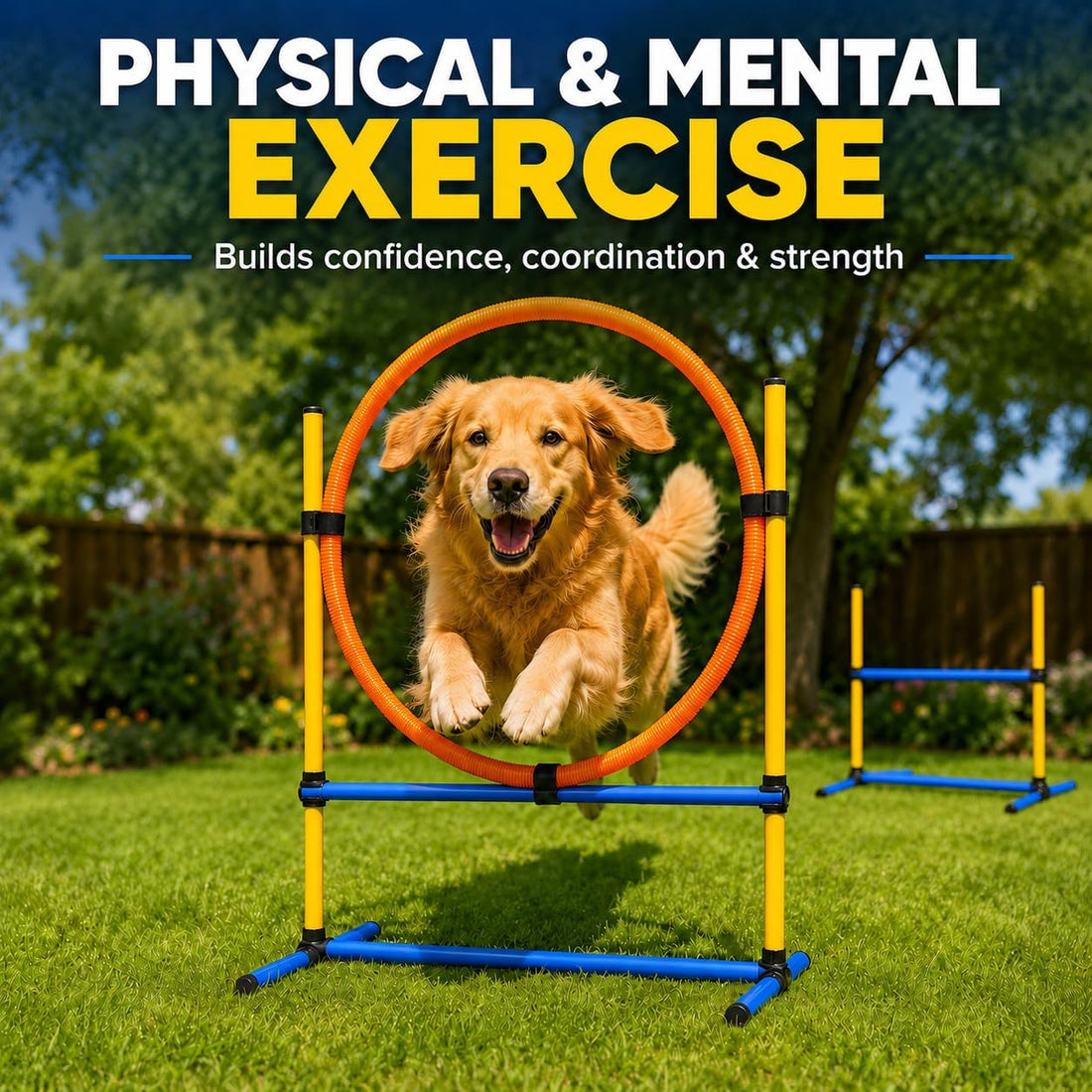 Dog Agility Equipment - Dog Obstacle Course Backyard Set