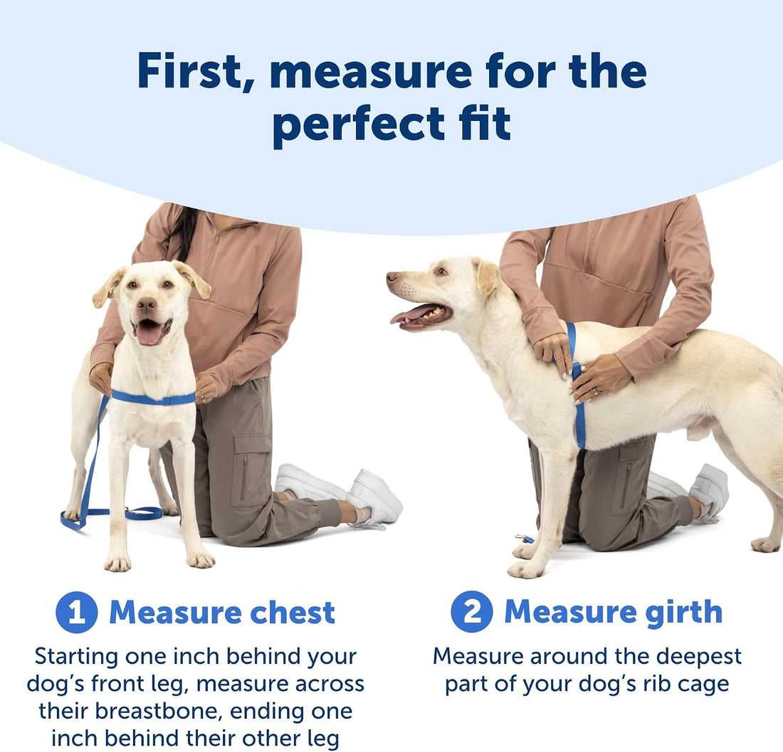 PetSafe Easy Walk Harness, No Pull Dog Harness, Black, Medium