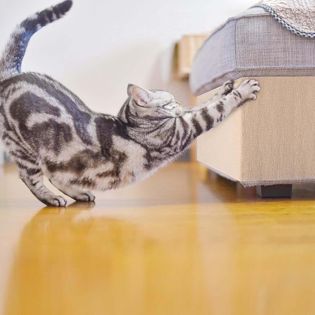 Cat Carpet remnants Cat Scratching Mat Trimmable Self-Adhesive Carpet