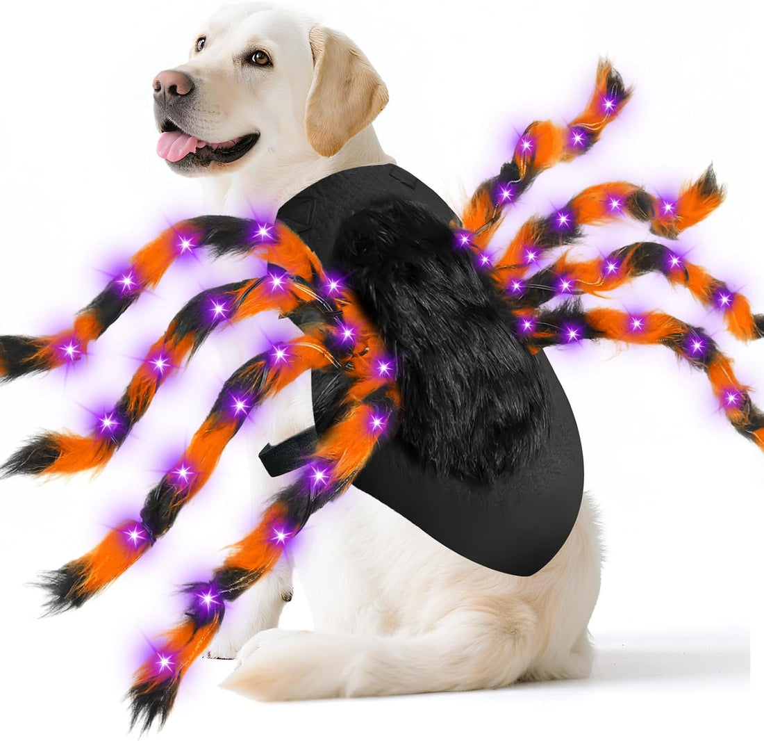 Halloween Light up Spider Dog Costumes for Small Medium Large Dogs