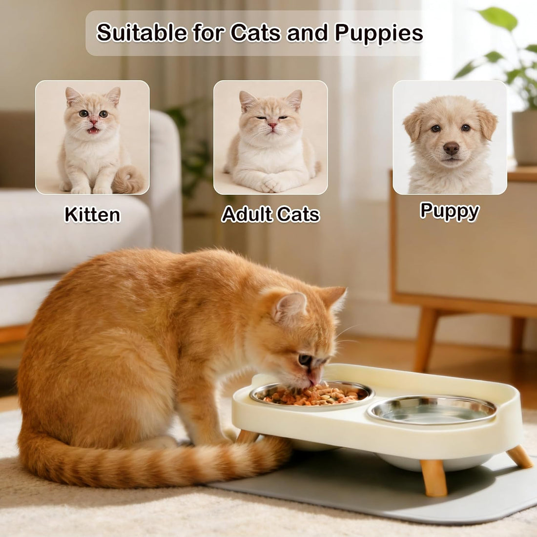 DIRZHX Elevated Cat Bowls with Food Mat