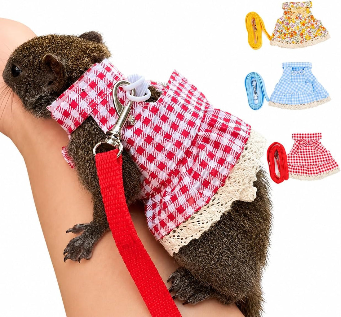 Guinea Pig Harness and Leash Set
