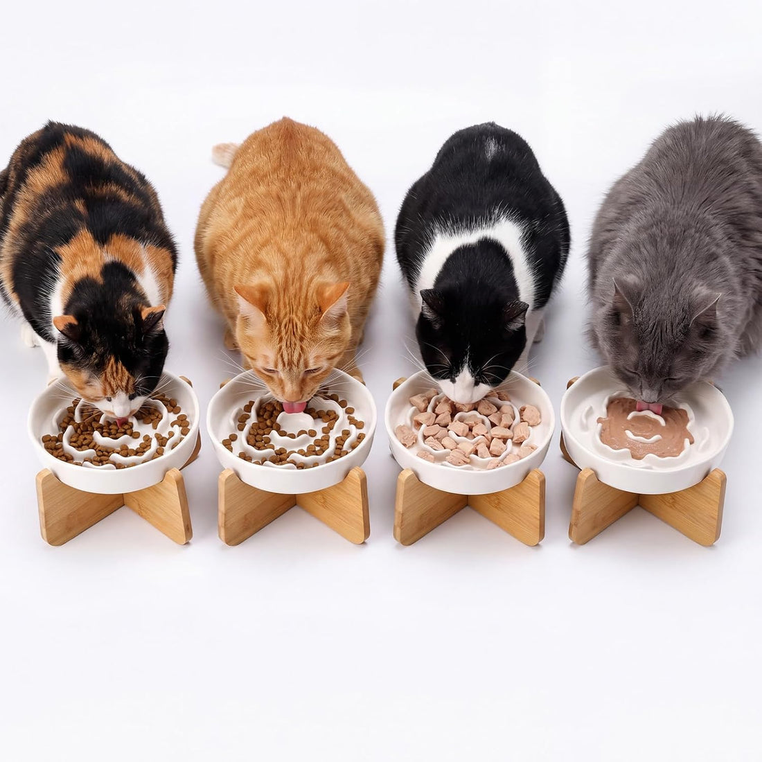 2 Set Raised Slow Feeder Cat Bowl with Stand Ceramic