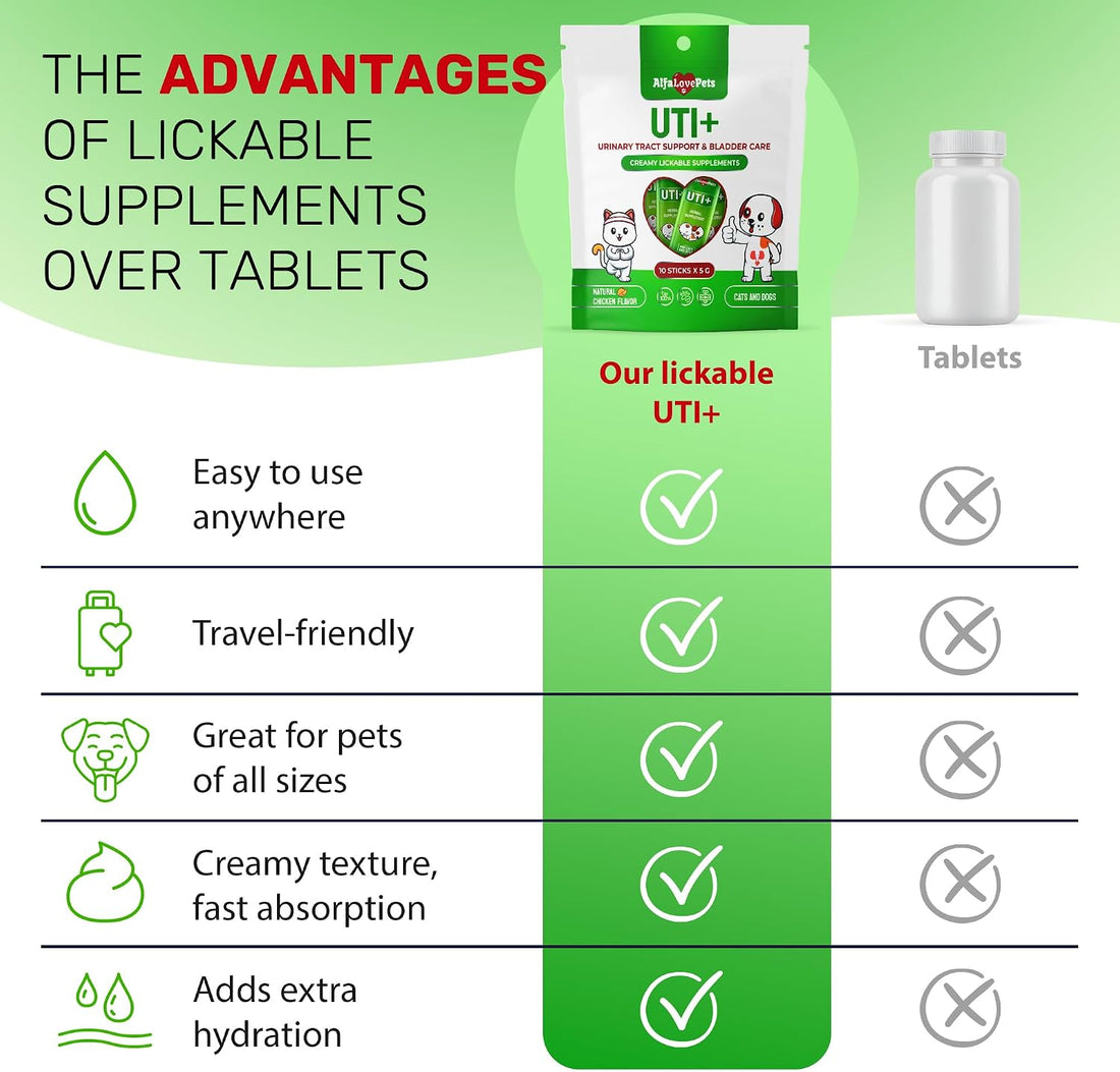 Cat UTI Treatment for Frequent Urination, Bladder & Kidney Irritation