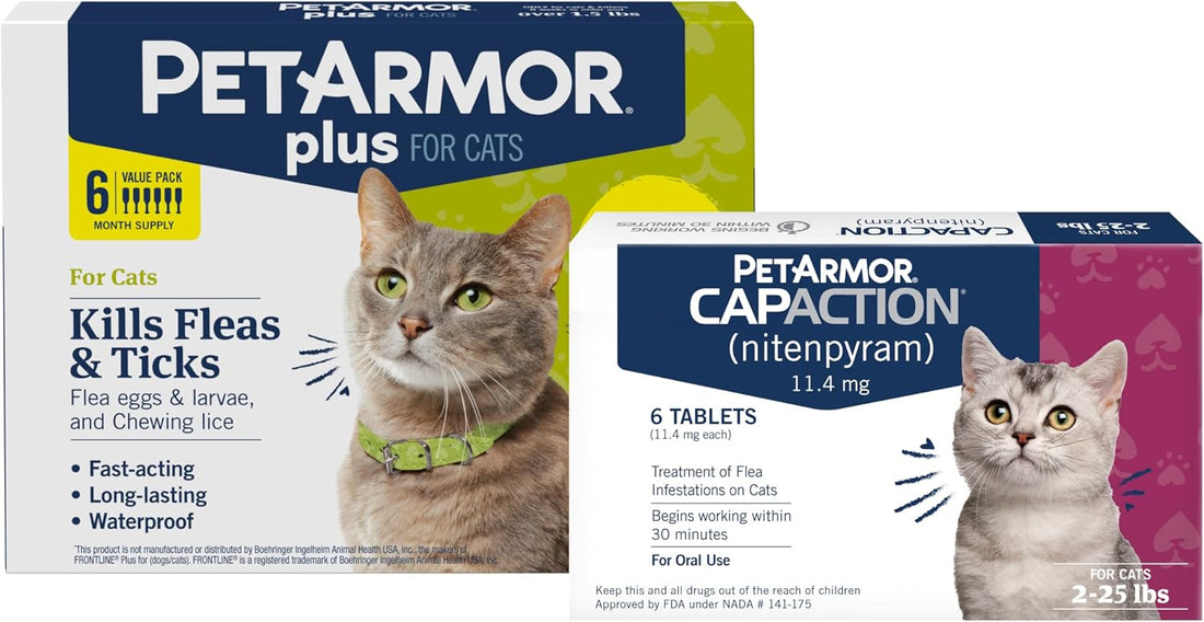 PetArmor Plus Cat, 6ct + PetArmor CapAction Cat