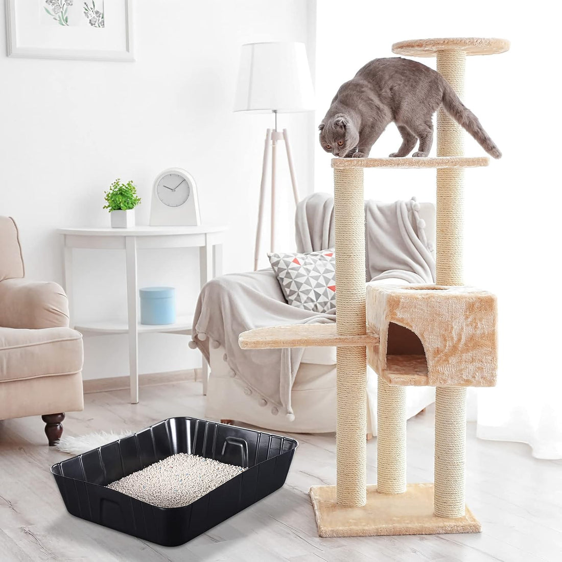 50 Pieces Disposable Litter Boxes for Cats Small Kitty Litter Box