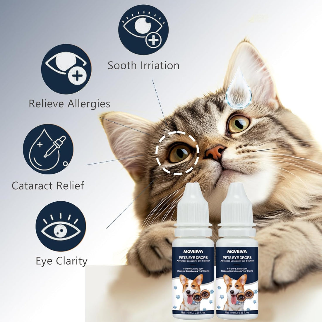 Cataract Drops for Dogs, Dog Eye Drops for Relieving Itching