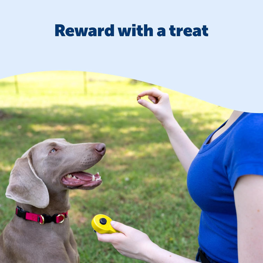 PetSafe Clik-R Dog Training Clicker