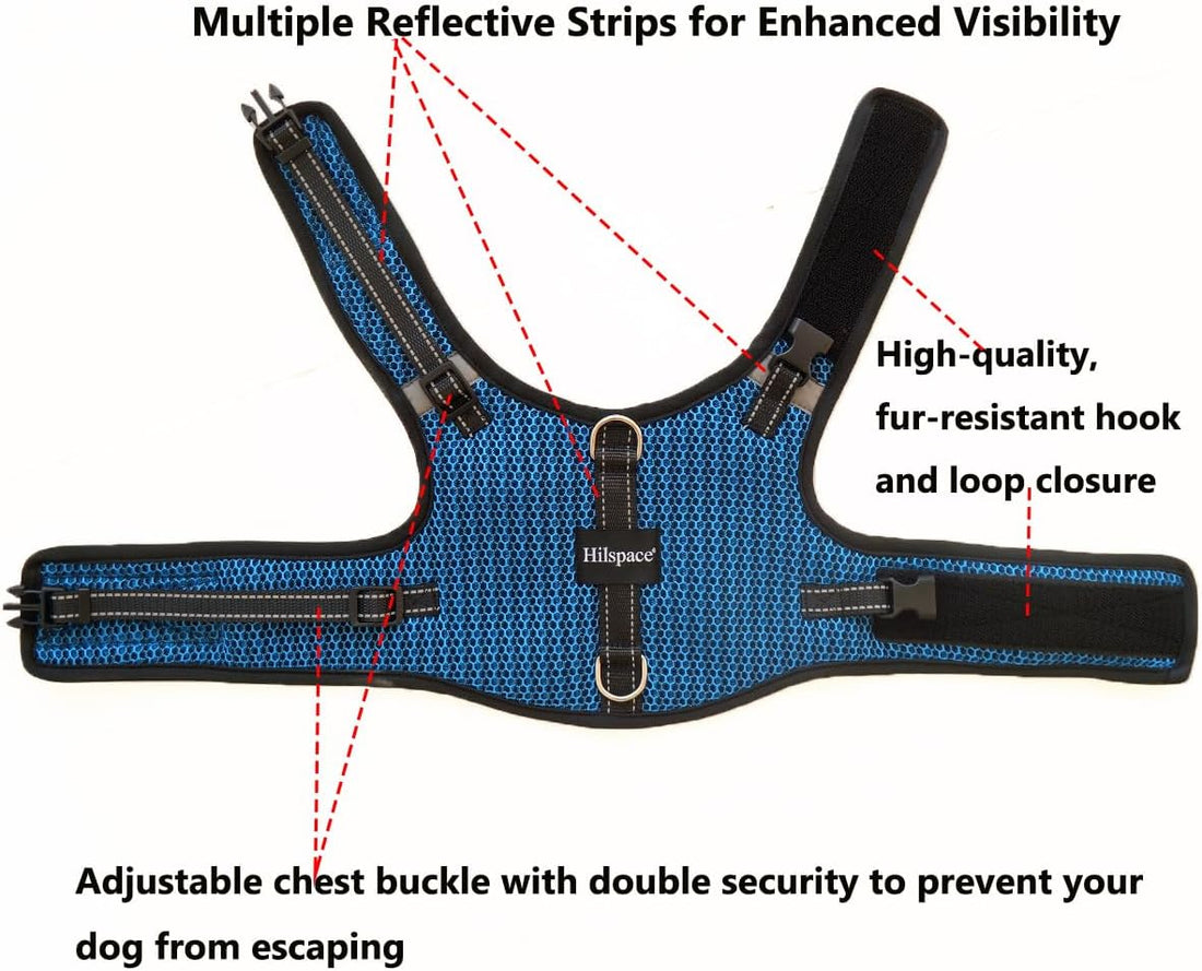 Mini Dachshund Harness Vest, No Pull & No Armpit Rub Dachshund Harness
