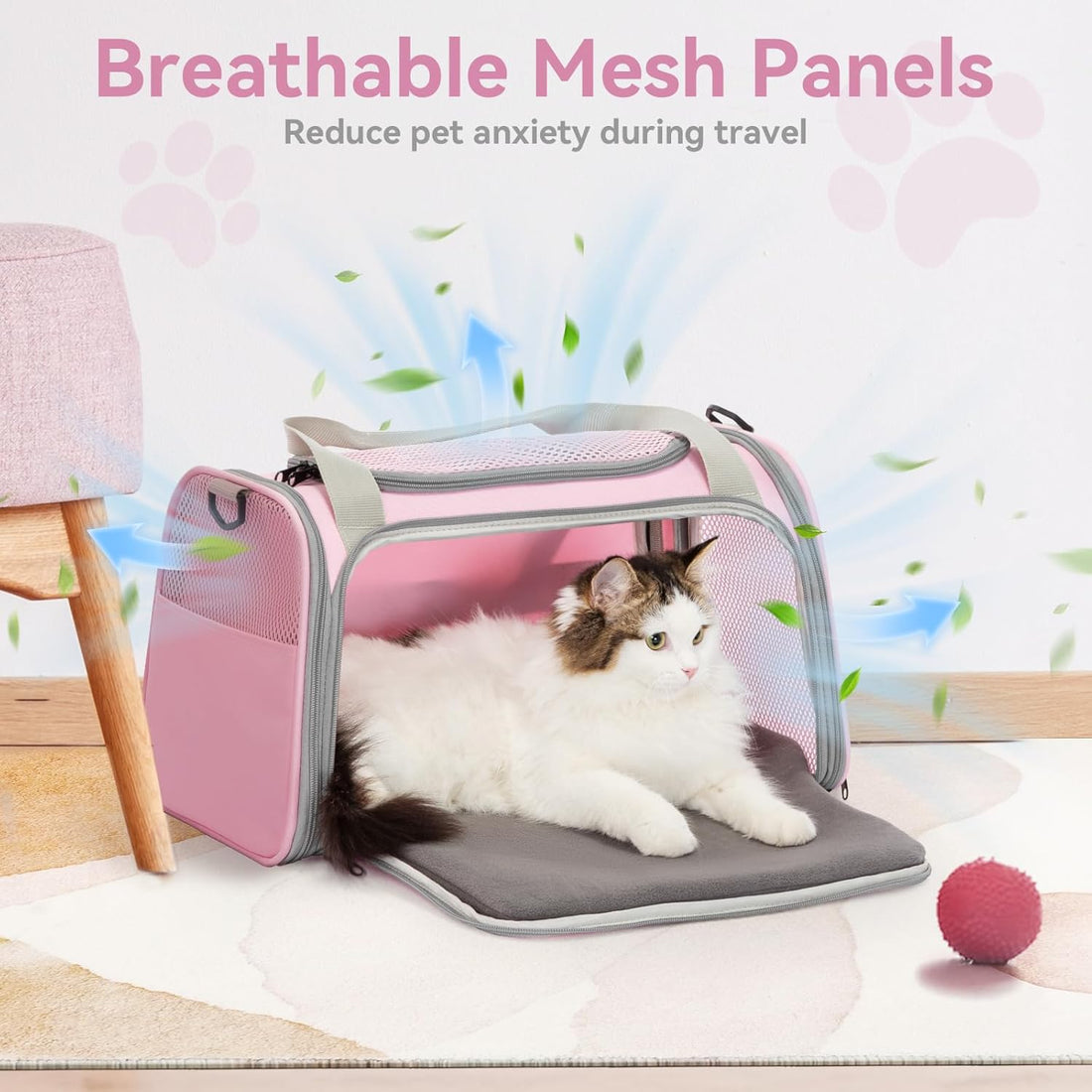 Airline Approved Cat Carrier 17.5×10.5×10.5 in