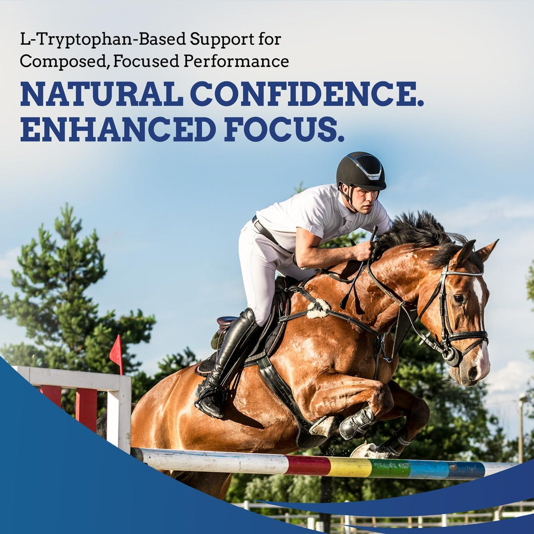 SynNutra TryChill Horse Calming Supplement, 1 Pack | Composure Support