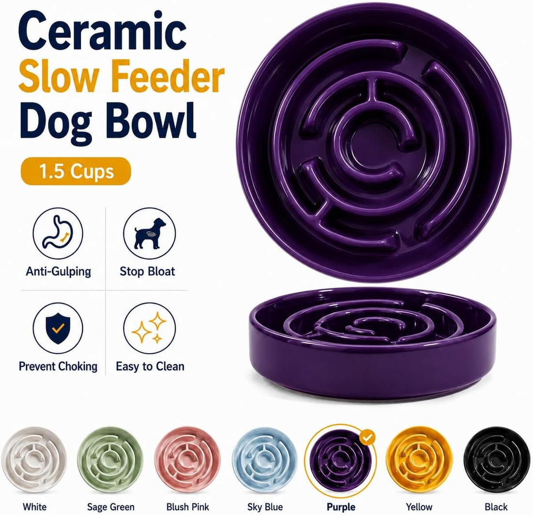 Ceramic Slow Feeder Dog Bowl