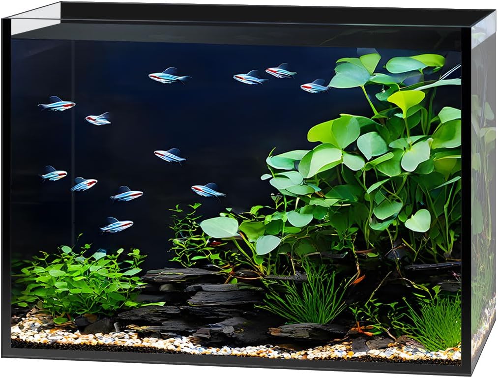 2.5 Gallon Nano Glass Fish Tank, Ultra-Clear Rimless Desktop Aquarium