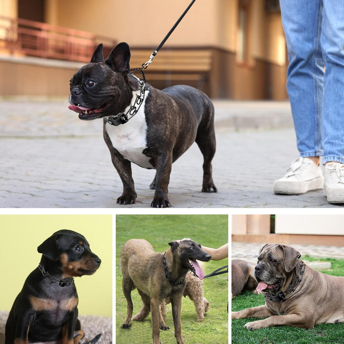 Pinch Collar for Dogs, Prong Training Collar with Quick Release