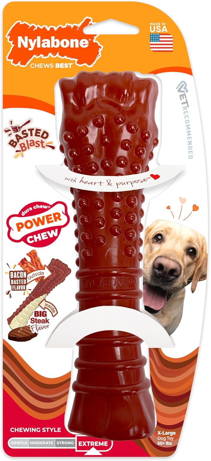 Nylabone Textured Bone Power Chew Toy for Dogs