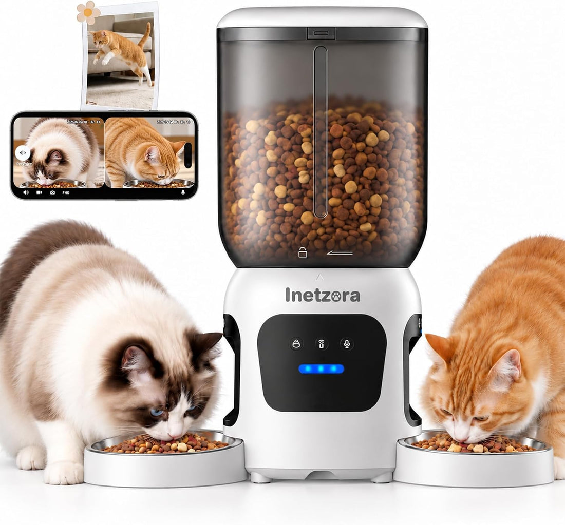 Automatic Cat Feeder with 2K Camera: 5G WiFi Auto Dog Feeder - 6L