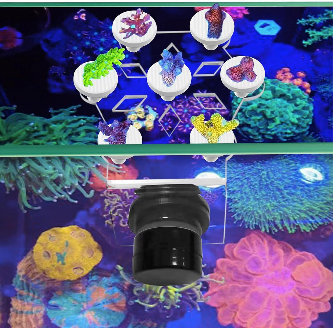 Coral frag Magnetic Holder, Magnetic Coral frag Plug Holder，Magnetic