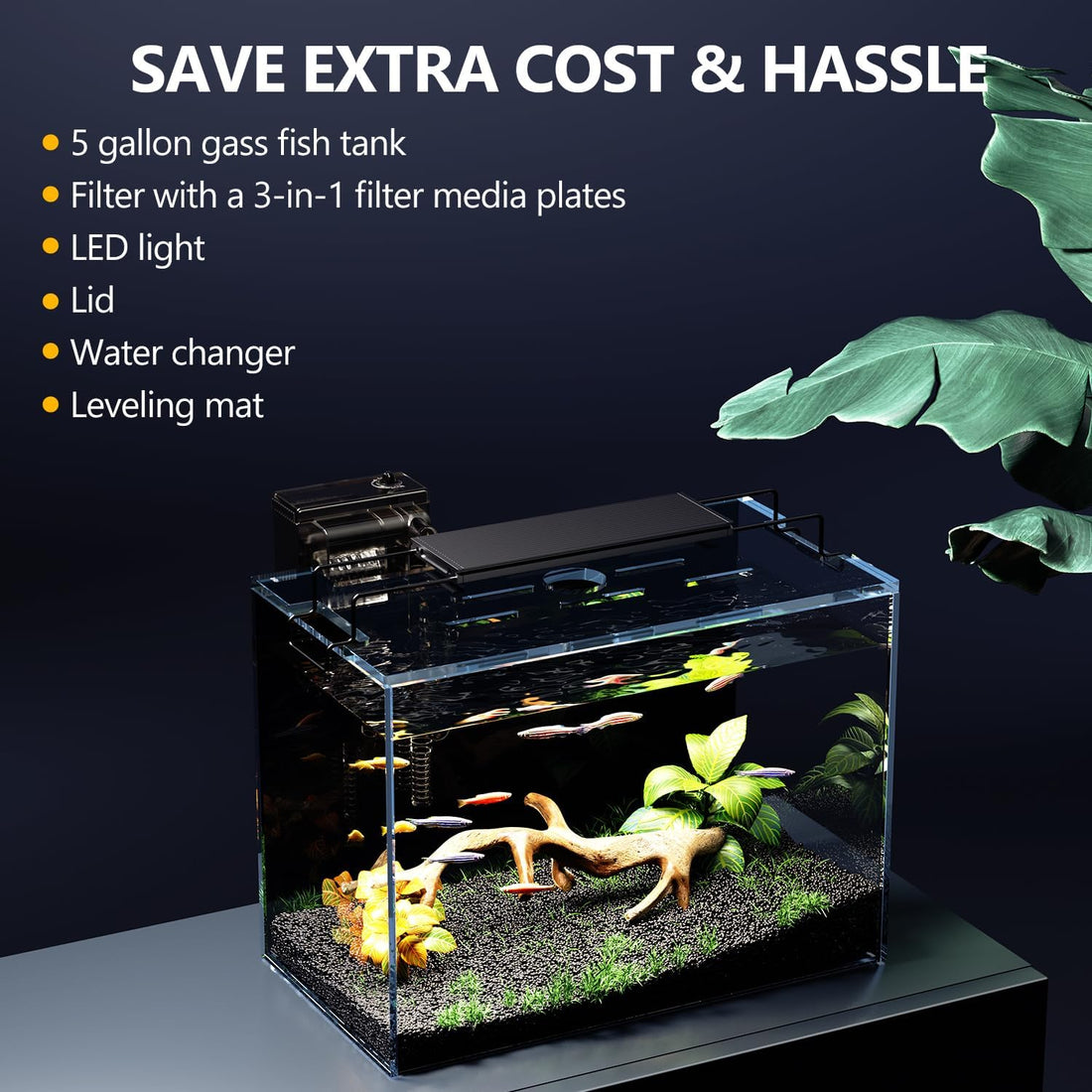 5 Gallon Fish Tank Kit with Filter Light with Timer, Lid Rimless Glass