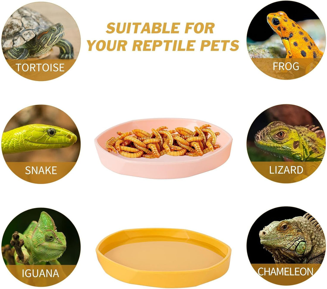 COMSUN 4 Pack Small Reptile Food Dish Bowl