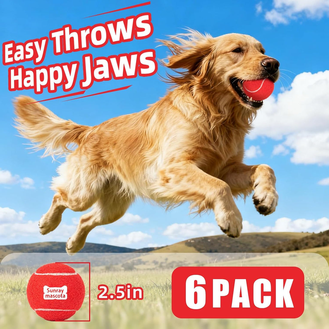 Sunraymascota 6-Pack Tennis Balls for Dogs Fetch Toys,for Beginner